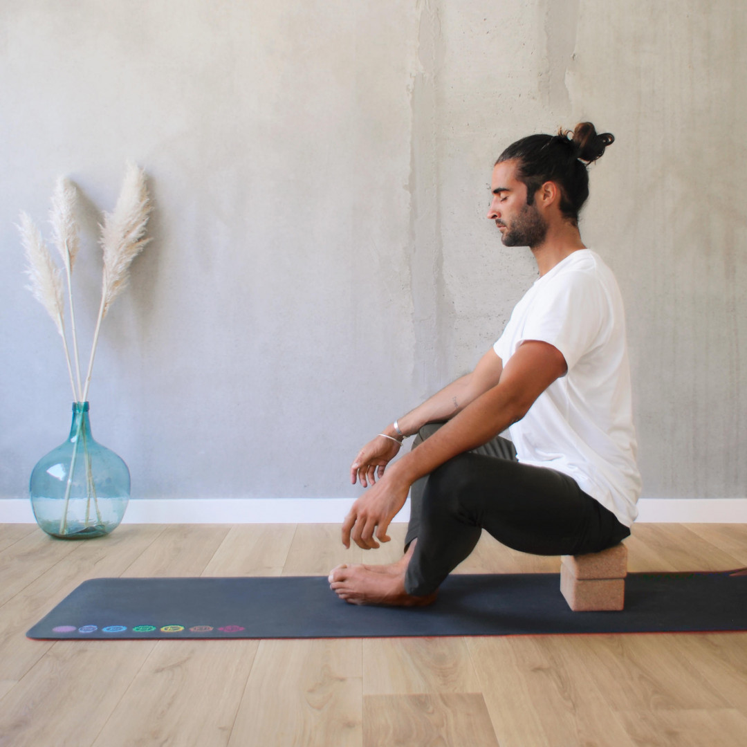 Achetez Set 2x blocs de yoga en différentes couleurs en ligne ICI