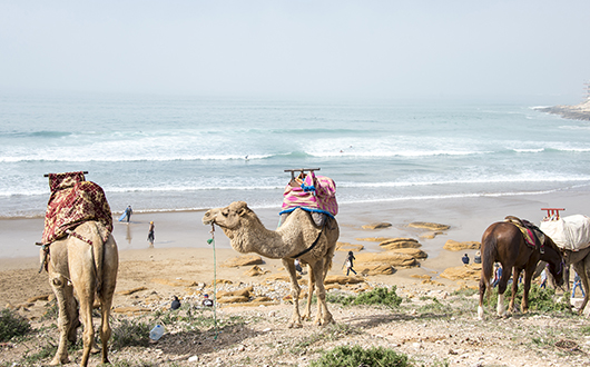 Destination surf Maroc