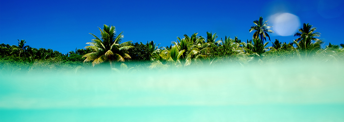 Morgan Massen pictures palms in ocean