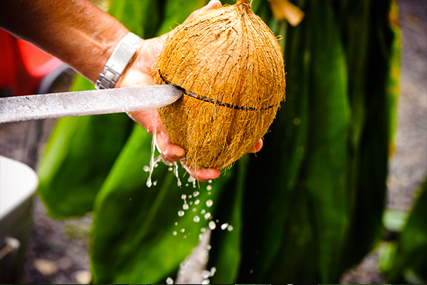 Noix De Coco de Tahiti