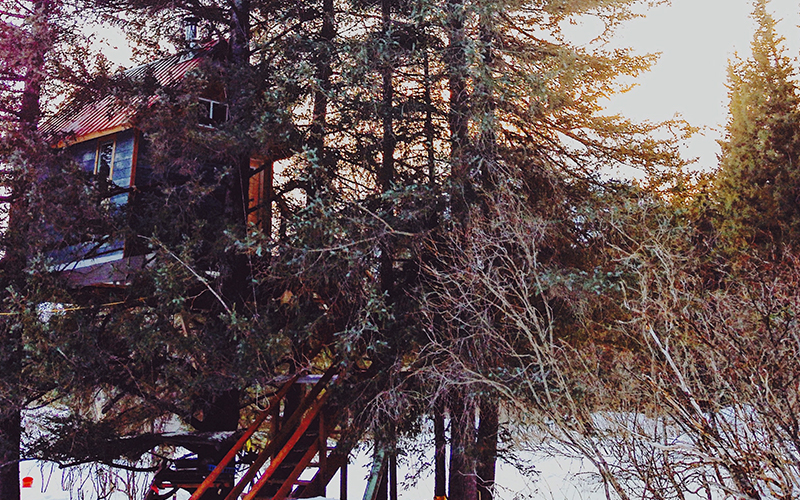Treehouse Alaska