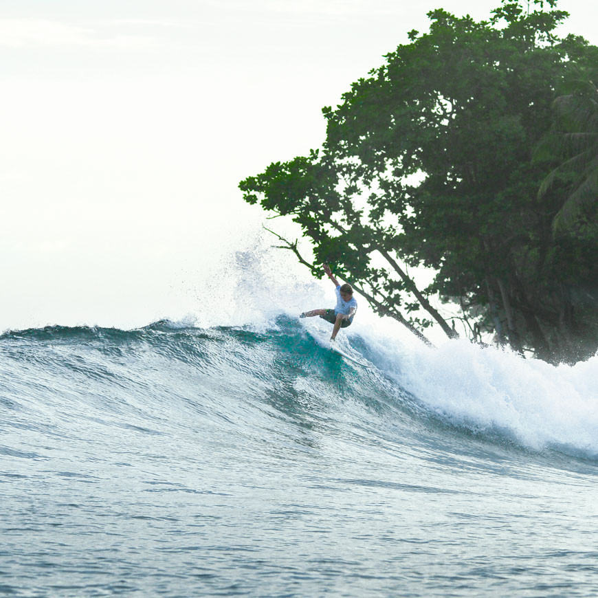 100% natural, plant-based wax