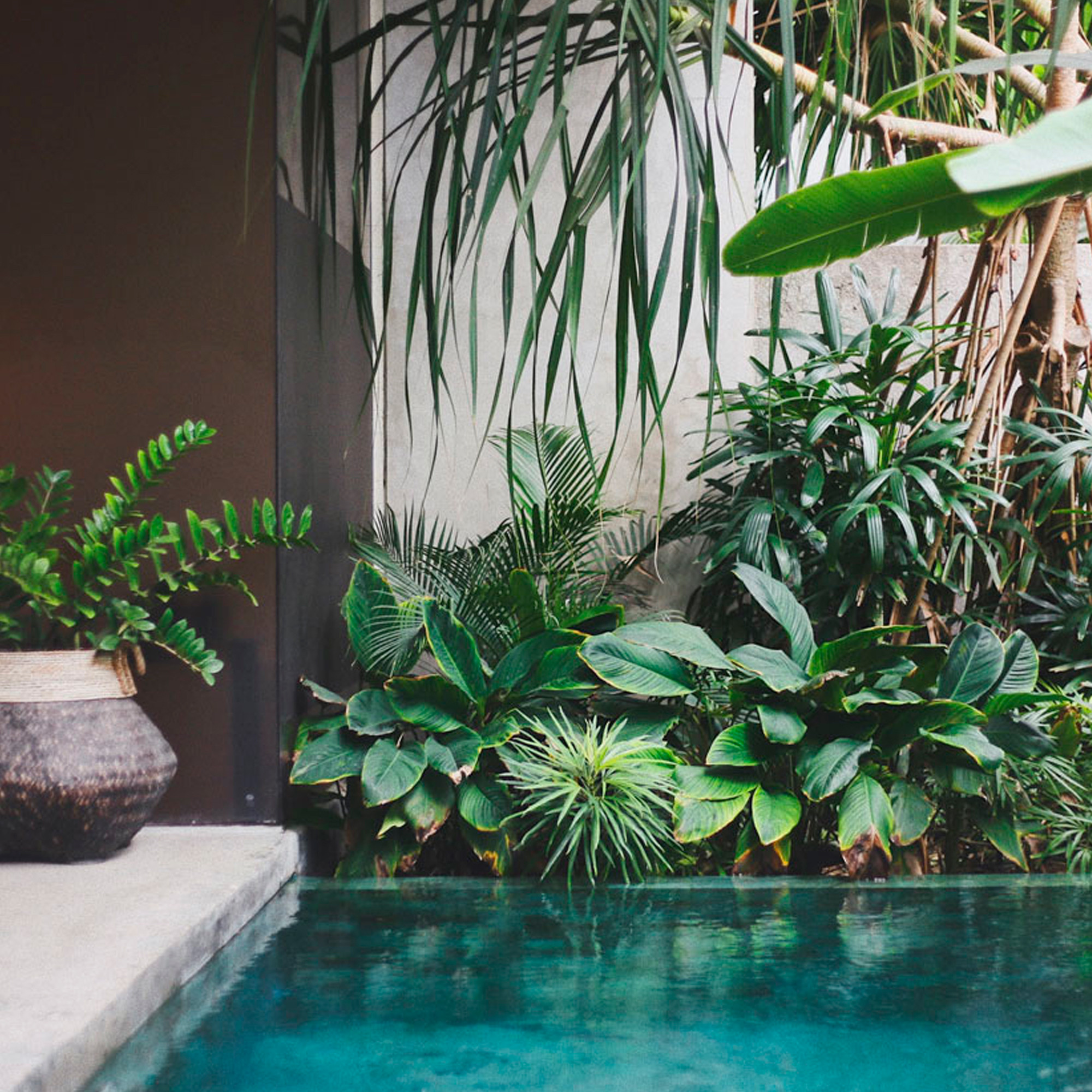 100% natürliches pflanzliches Wachs