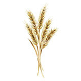 Organic wheat alcohol
