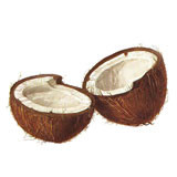 Organic coconut oil